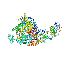 BU of 2ivf by Molmil