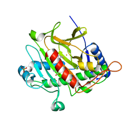 BU of 2ivj by Molmil