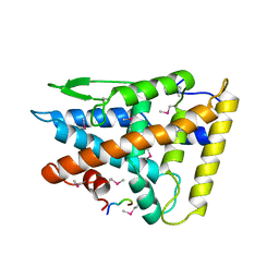 AU of 2iz2 by Molmil