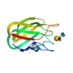 AU of 2j1f by Molmil