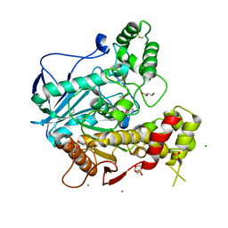 BU of 2j4c by Molmil