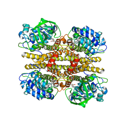 BU of 2jbt by Molmil