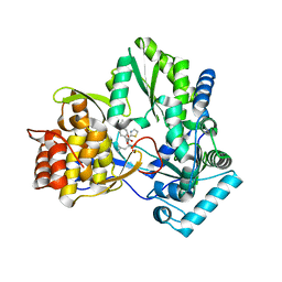 BU of 2jc1 by Molmil