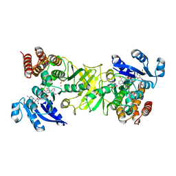 AU of 2jcz by Molmil