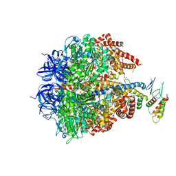 BU of 2jdi by Molmil