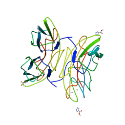 BU of 2jdk by Molmil