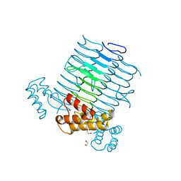 BU of 2jf2 by Molmil