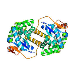 BU of 2jfp by Molmil