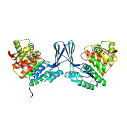 BU of 2jg1 by Molmil