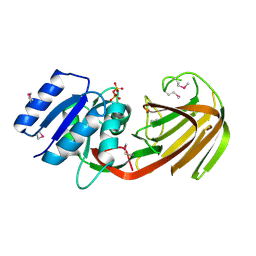 BU of 2jgr by Molmil