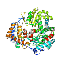 BU of 2jlf by Molmil