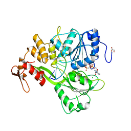 BU of 2jlv by Molmil