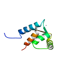 AU of 2ktg by Molmil