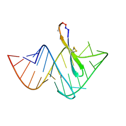 BU of 2kx5 by Molmil