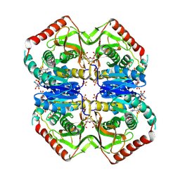 BU of 2ldb by Molmil