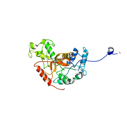 AU of 2ldh by Molmil