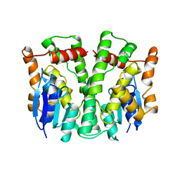 BU of 2ljr by Molmil