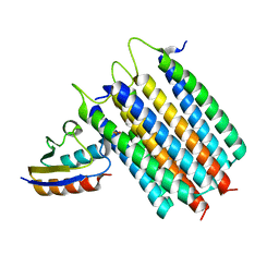 BU of 2lrl by Molmil