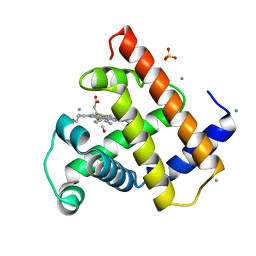 BU of 2mb5 by Molmil