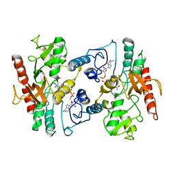 AU of 2mdh by Molmil