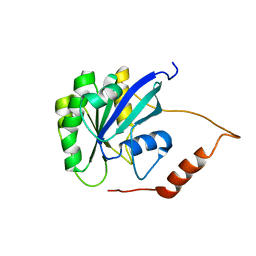 BU of 2mmg by Molmil