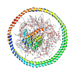 BU of 2msd by Molmil