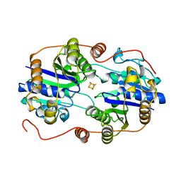 BU of 2nip by Molmil