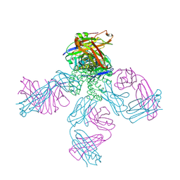 BU of 2nlj by Molmil