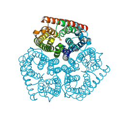 BU of 2nmr by Molmil