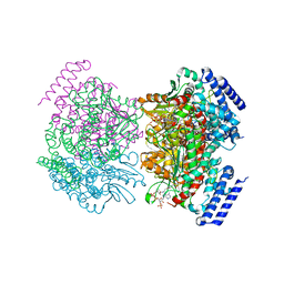 BU of 2np9 by Molmil