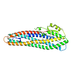 BU of 2nrj by Molmil