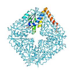 BU of 2nsj by Molmil