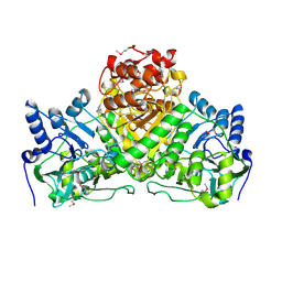 BU of 2nvv by Molmil