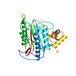 AU of 2nw5 by Molmil