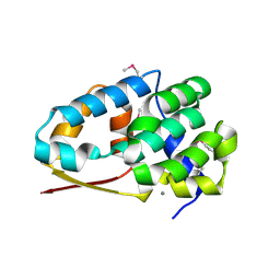 BU of 2nxp by Molmil