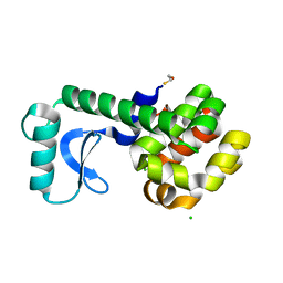 AU of 2nzk by Molmil