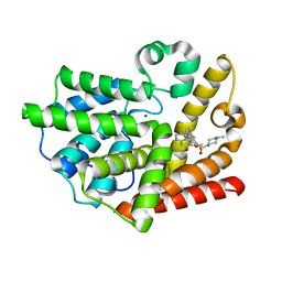 BU of 2o8h by Molmil