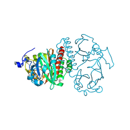 BU of 2o9c by Molmil