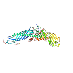 BU of 2obd by Molmil