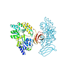 BU of 2obg by Molmil