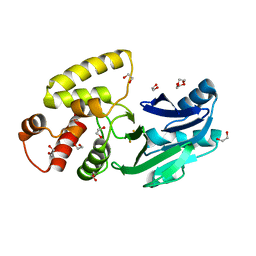 AU of 2obw by Molmil