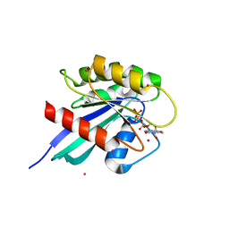 BU of 2ocb by Molmil