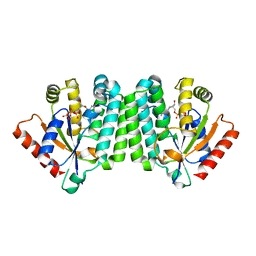 BU of 2ocp by Molmil