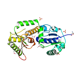 BU of 2ocx by Molmil