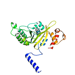 BU of 2oe2 by Molmil