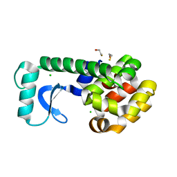 BU of 2oe4 by Molmil