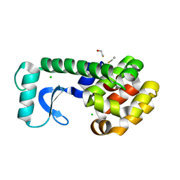 BU of 2oe9 by Molmil