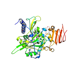 BU of 2oeg by Molmil