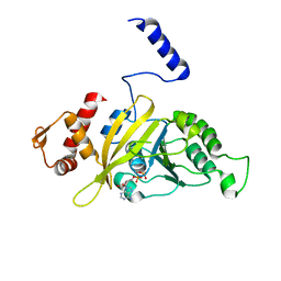 BU of 2oep by Molmil