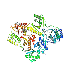 BU of 2opq by Molmil